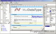 MyNeoReport .Net Reporting Tool screenshot